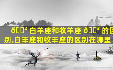 🌲 白羊座和牧羊座 🐳 的区别,白羊座和牧羊座的区别在哪里